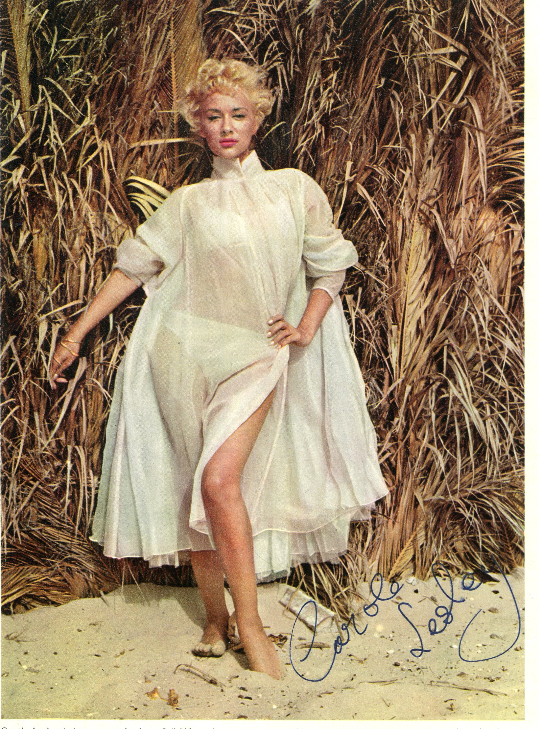 Carole Lesley Archives « Movies & Autographed Portraits Through The